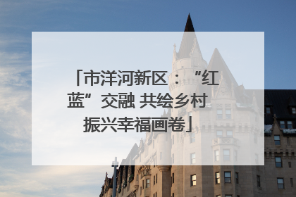 市洋河新区：“红蓝”交融 共绘乡村振兴幸福画卷