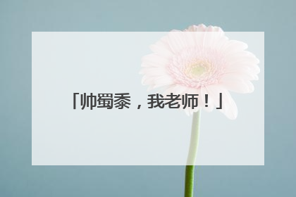 帅蜀黍，我老师！