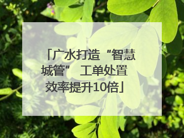广水打造“智慧城管” 工单处置效率提升10倍