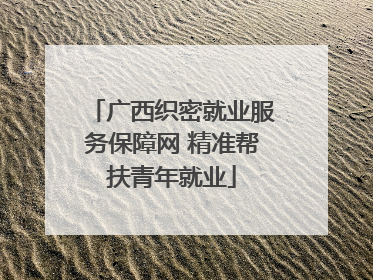广西织密就业服务保障网 精准帮扶青年就业