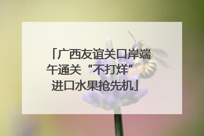 广西友谊关口岸端午通关“不打烊” 进口水果抢先机