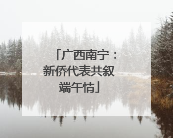 广西南宁：新侨代表共叙端午情