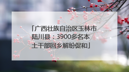 广西壮族自治区玉林市陆川县：3900多名本土干部回乡解纷促和