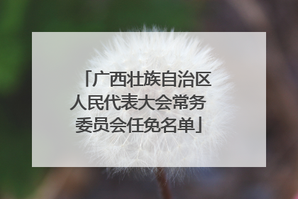 广西壮族自治区人民代表大会常务委员会任免名单
