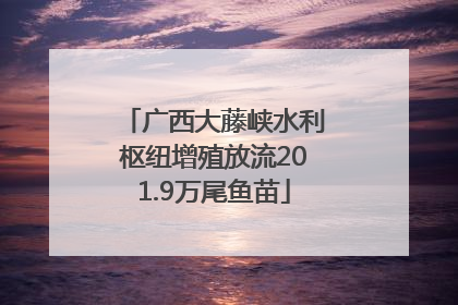 广西大藤峡水利枢纽增殖放流201.9万尾鱼苗