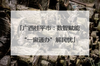 广西桂平市：数智赋能“一窗通办”解民忧