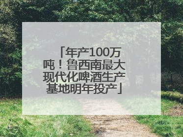 年产100万吨！鲁西南最大现代化啤酒生产基地明年投产