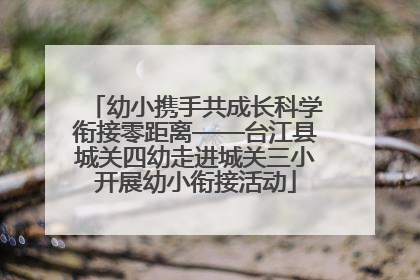 幼小携手共成长科学衔接零距离——台江县城关四幼走进城关三小开展幼小衔接活动
