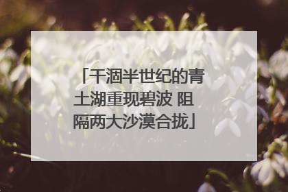 干涸半世纪的青土湖重现碧波 阻隔两大沙漠合拢
