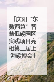 庆阳“东数西算”智慧低碳园区实践项目亮相第三届上海碳博会