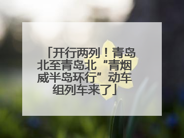 开行两列！青岛北至青岛北“青烟威半岛环行”动车组列车来了
