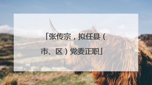 张传宗，拟任县（市、区）党委正职