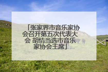 张家界市音乐家协会召开第五次代表大会 胡情当选市音乐家协会主席