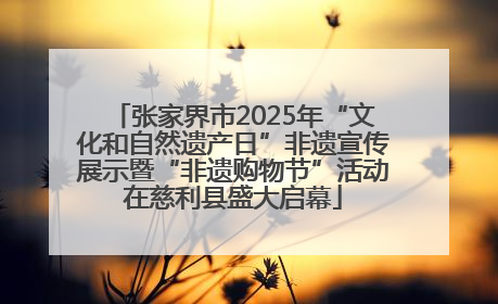 张家界市2025年“文化和自然遗产日”非遗宣传展示暨“非遗购物节”活动在慈利县盛大启幕
