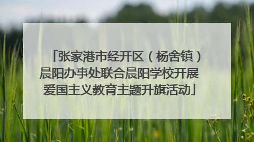 张家港市经开区（杨舍镇）晨阳办事处联合晨阳学校开展爱国主义教育主题升旗活动