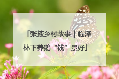 张掖乡村故事｜临泽林下养鹅“钱”景好