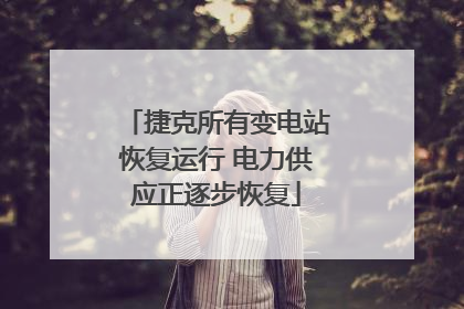 捷克所有变电站恢复运行 电力供应正逐步恢复