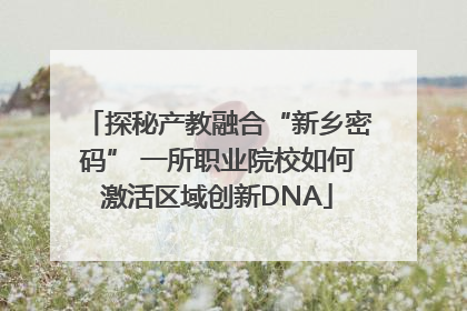 探秘产教融合“新乡密码” 一所职业院校如何激活区域创新DNA