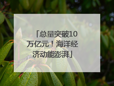 总量突破10万亿元！海洋经济动能澎湃