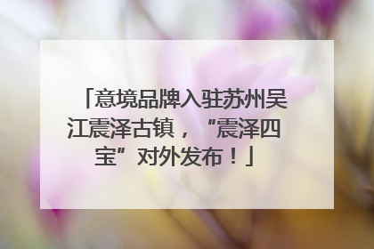 意境品牌入驻苏州吴江震泽古镇，“震泽四宝”对外发布！