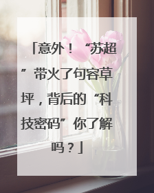 意外！“苏超”带火了句容草坪，背后的“科技密码”你了解吗？