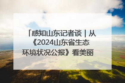 感知山东记者谈｜从《2024山东省生态环境状况公报》看美丽山东建设的“成绩单”与“任务书”