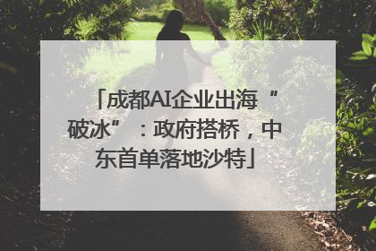 成都AI企业出海“破冰”：政府搭桥，中东首单落地沙特
