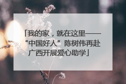 我的家，就在这里——“中国好人”陈树伟再赴广西开展爱心助学