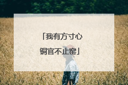 我有方寸心 铜官不止窑