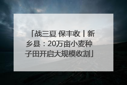 战三夏 保丰收丨新乡县：20万亩小麦种子田开启大规模收割