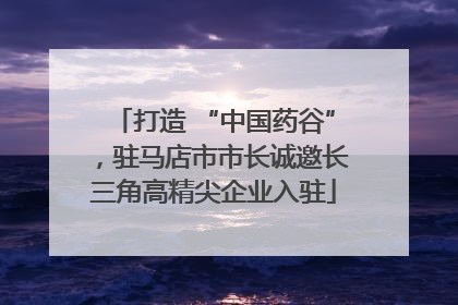 打造 “中国药谷”，驻马店市市长诚邀长三角高精尖企业入驻