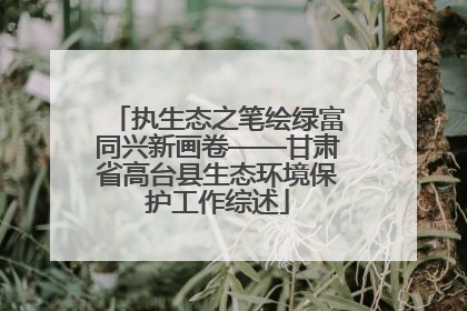 执生态之笔绘绿富同兴新画卷——甘肃省高台县生态环境保护工作综述