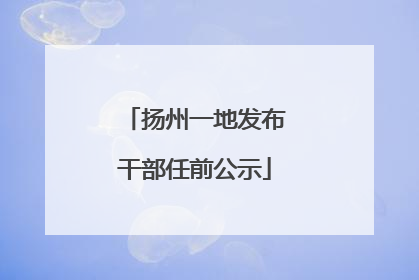 扬州一地发布干部任前公示