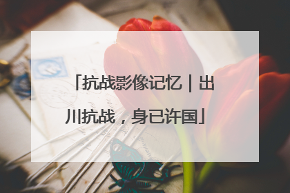 抗战影像记忆｜出川抗战，身已许国