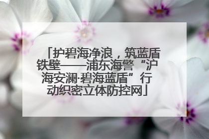 护碧海净浪，筑蓝盾铁壁——浦东海警“沪海安澜·碧海蓝盾”行动织密立体防控网