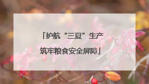 护航“三夏”生产 筑牢粮食安全屏障