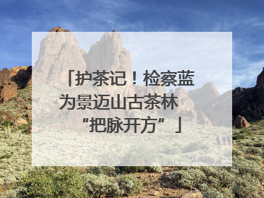 护茶记！检察蓝为景迈山古茶林 “把脉开方”