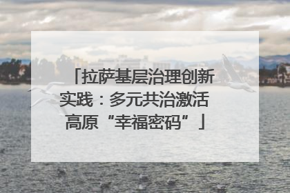 拉萨基层治理创新实践：多元共治激活高原“幸福密码”