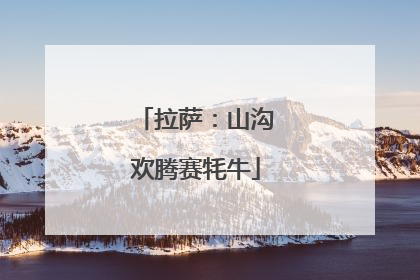 拉萨：山沟欢腾赛牦牛