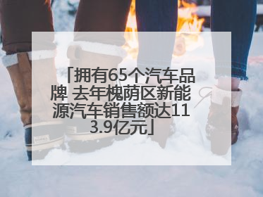 拥有65个汽车品牌 去年槐荫区新能源汽车销售额达113.9亿元