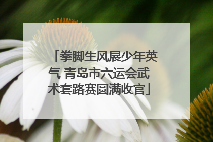 拳脚生风展少年英气 青岛市六运会武术套路赛圆满收官