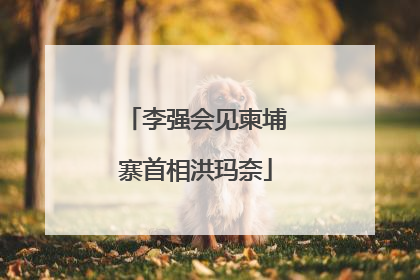 李强会见柬埔寨首相洪玛奈