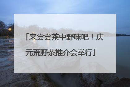 来尝尝茶中野味吧！庆元荒野茶推介会举行