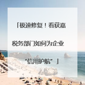 极速修复！看获嘉税务部门如何为企业“信用护航”