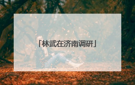 林武在济南调研