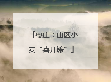 枣庄：山区小麦“喜开镰”