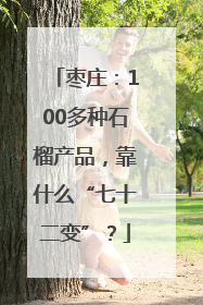 枣庄：100多种石榴产品，靠什么“七十二变”？
