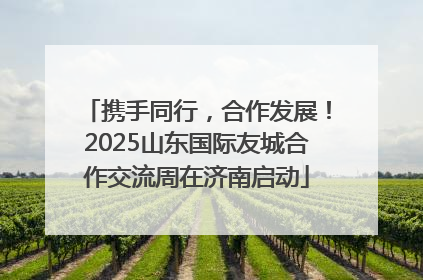 携手同行，合作发展！2025山东国际友城合作交流周在济南启动
