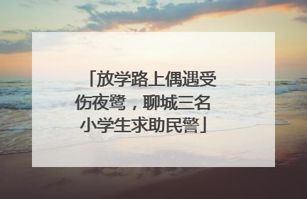 放学路上偶遇受伤夜鹭，聊城三名小学生求助民警