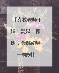 支教老师王越：爱是一棵树，会撼动另一棵树